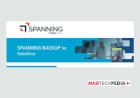 Spanning Backup for Salesforce - Evaluation Criteria