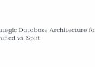 Strategic Database Architecture for AI : Unified vs. Split